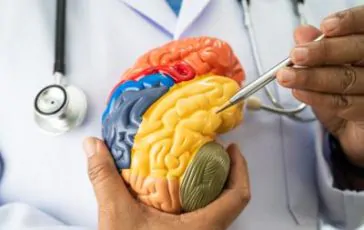 featured 3581423 364x230