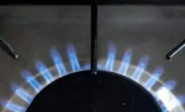 featured 3581431 265x160