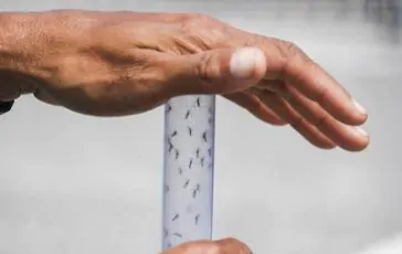 featured 3581740 364x230