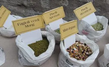 featured 3582583 364x225