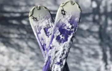 001-tigre-la-salle-lotterà-neve