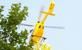 Luciano Capasso morto