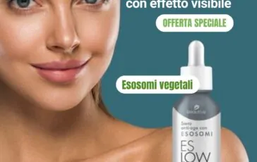 image f79489e7 7e0a 4434 bebf 57001f18088a 364x230