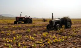 israele sotto accusa uso di sostanze chimiche in siria e libano 1770730931 265x160