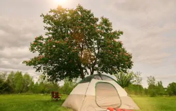 lan gao czx47ozmj2g unsplash 364x230