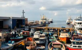 nuove normative sul ddl immigrazione approvate dal governo italiano cosa cambia 1770840775 265x160