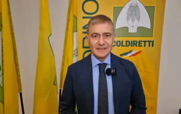 featured 3585389 364x230