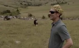 featured 3586387 265x160