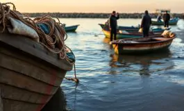 la pesca a gaza tra blocchi rischi e bisogno di cibo 1772954907 265x160