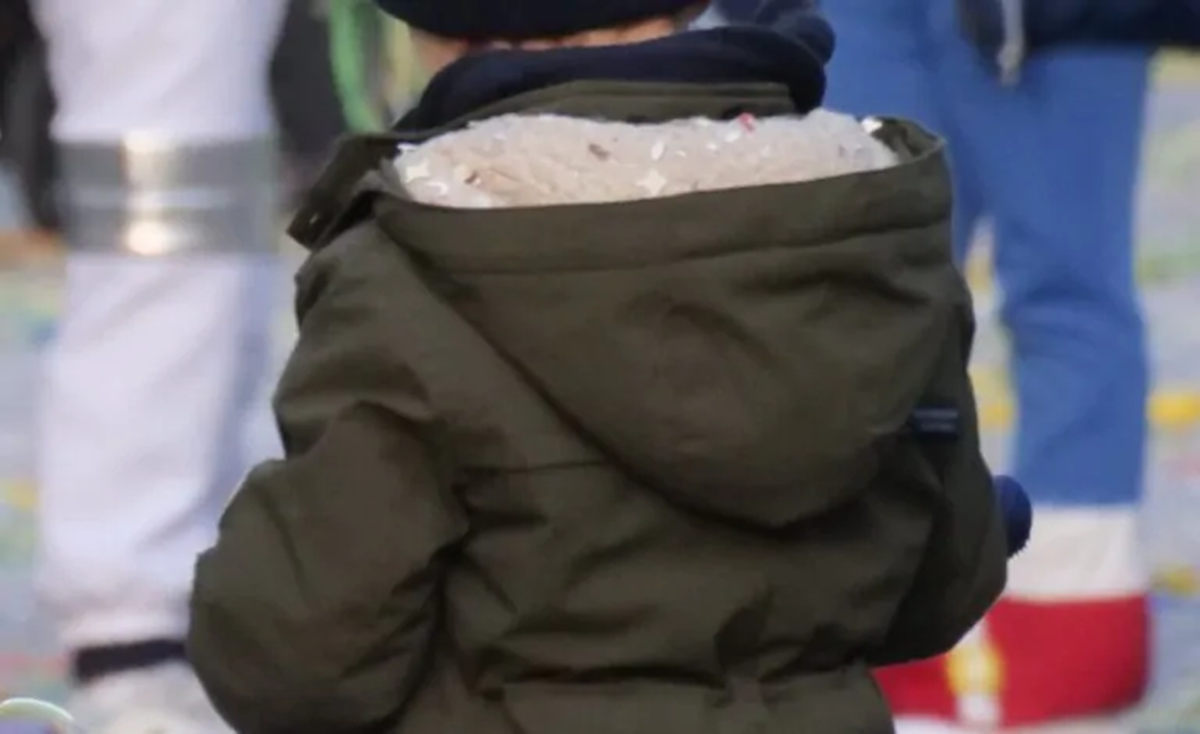 https://www.notizie.it/wp-content/uploads/2026/04/famiglia-nel-bosco-bambini-audio-9969068b.png