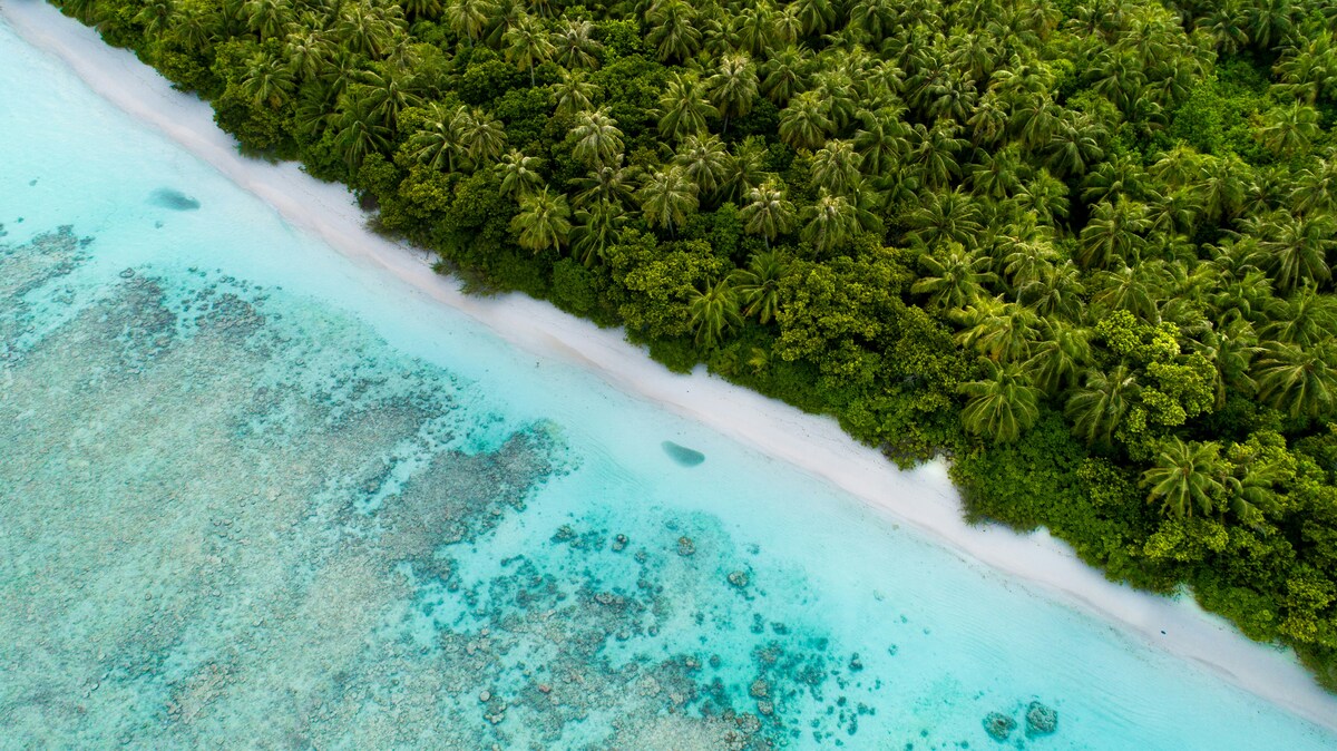 https://www.notizie.it/wp-content/uploads/2026/04/spiagge-piu-belle-del-mondo-2026-9595ab47.jpg