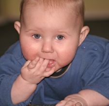 follow baby food diet 800x800