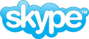skype logo online 300x132