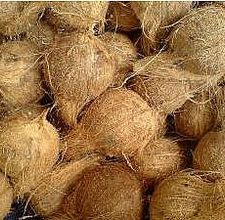 article page main ehow images a04 qu o4 lose weight following coconut diet 800x800