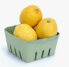 article page main ehow images a08 2t qq eat lemons salt 800x800