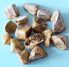 article page main ehow images a04 td l6 home remedies gallstones removal 800x8002