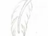 article preview ehow images a04 8n t1 draw feather 1.2 800x800