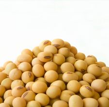article page main ehow images a01 ua lt make soy milk 800x800