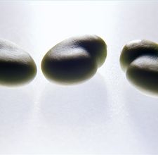 article page main ehow images a02 21 2o know soy allergy symptoms 800x800