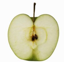 article page main ehow images a08 6l tv time do plant apple seeds 800x800