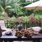sey Seychelles - LA DIGUE - LE DOMAINE DE L'ORANGERAIE RESORT 3 Stelle Superior - Garden Villa