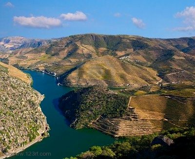 5777912-splendida-vista-sui-vigneti-porto-di-vino-nella-regione-del-douro-lungo-il-fiume-in-portogallo-il-au